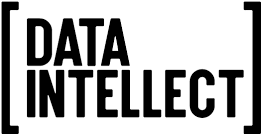 Data Intellect logo