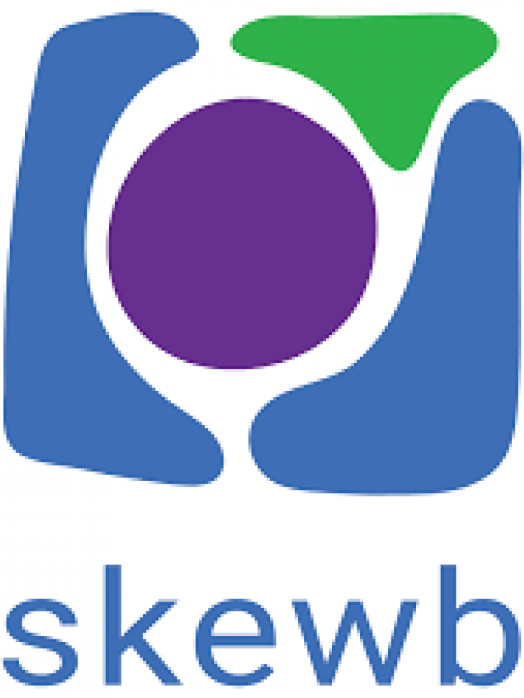 Skewb logo